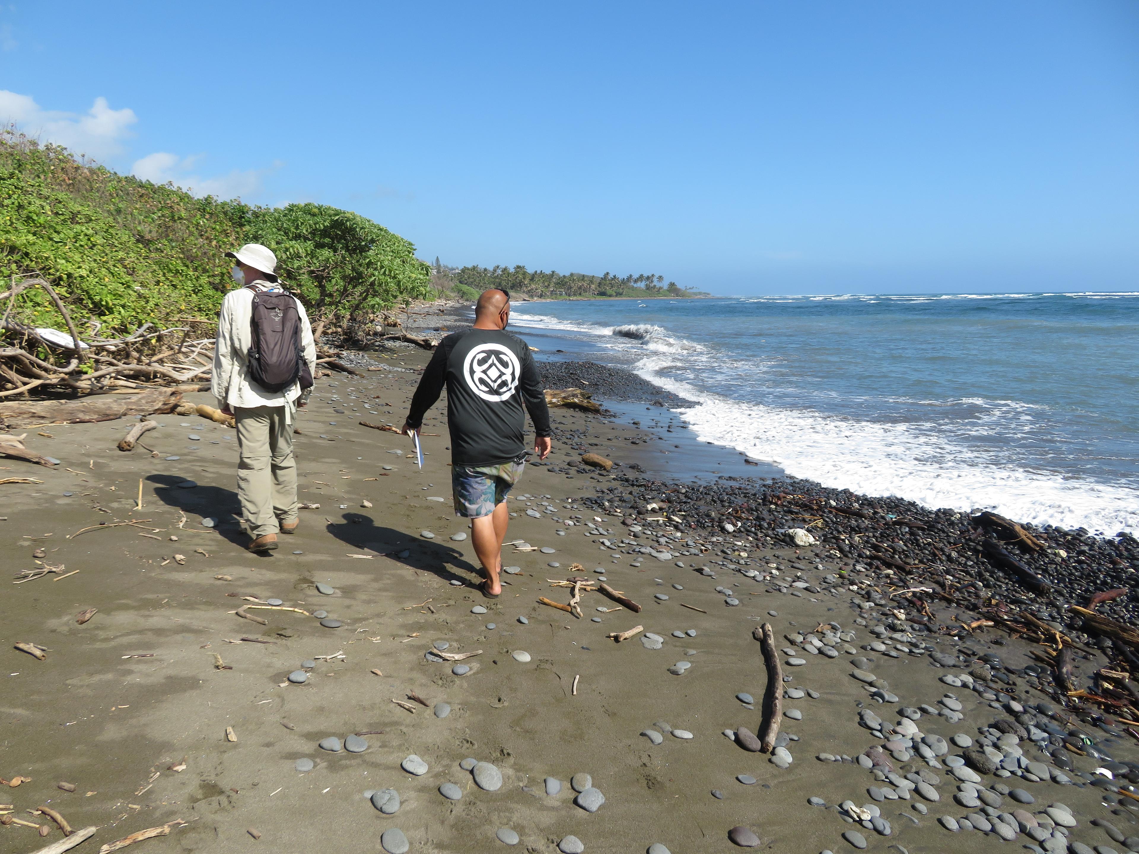 Sandee - Paukukalo Beach