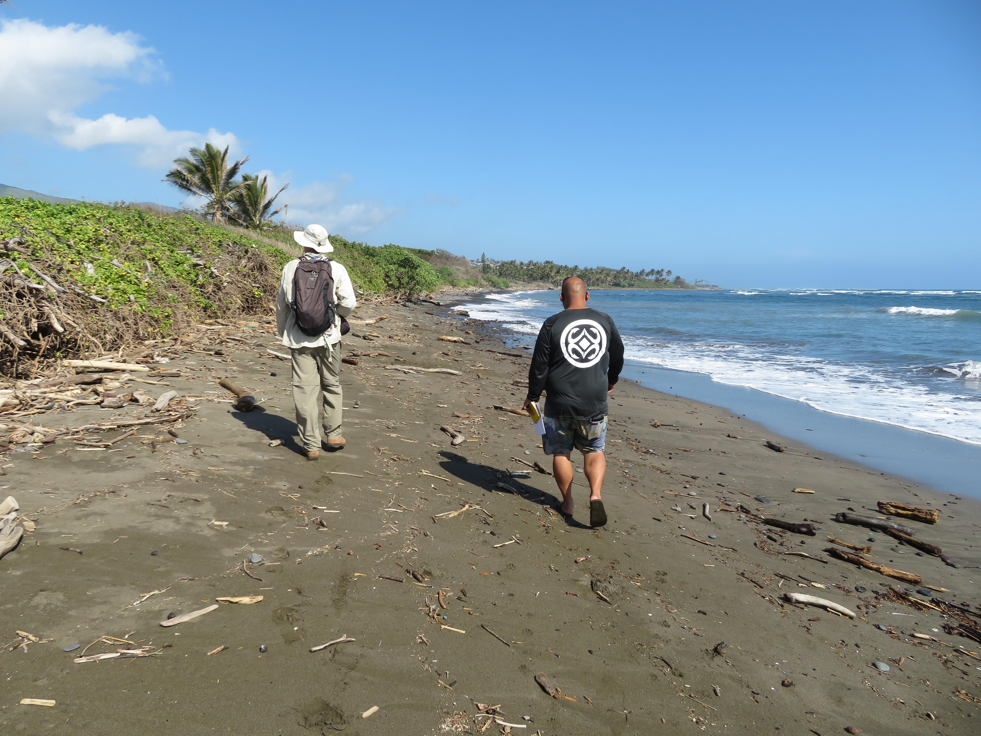 Sandee - Paukukalo Beach