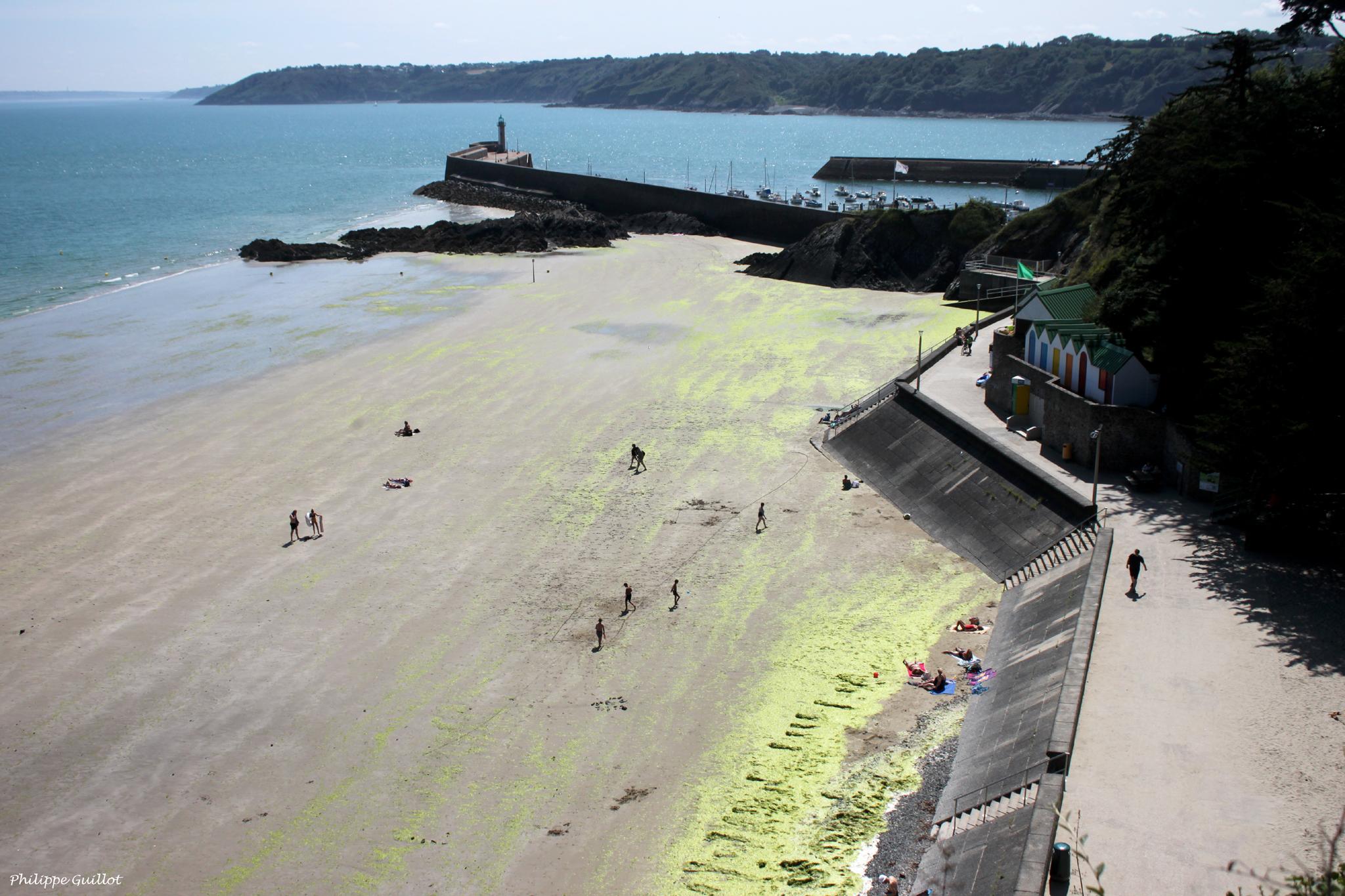 Sandee - Plage De L'Avant Port