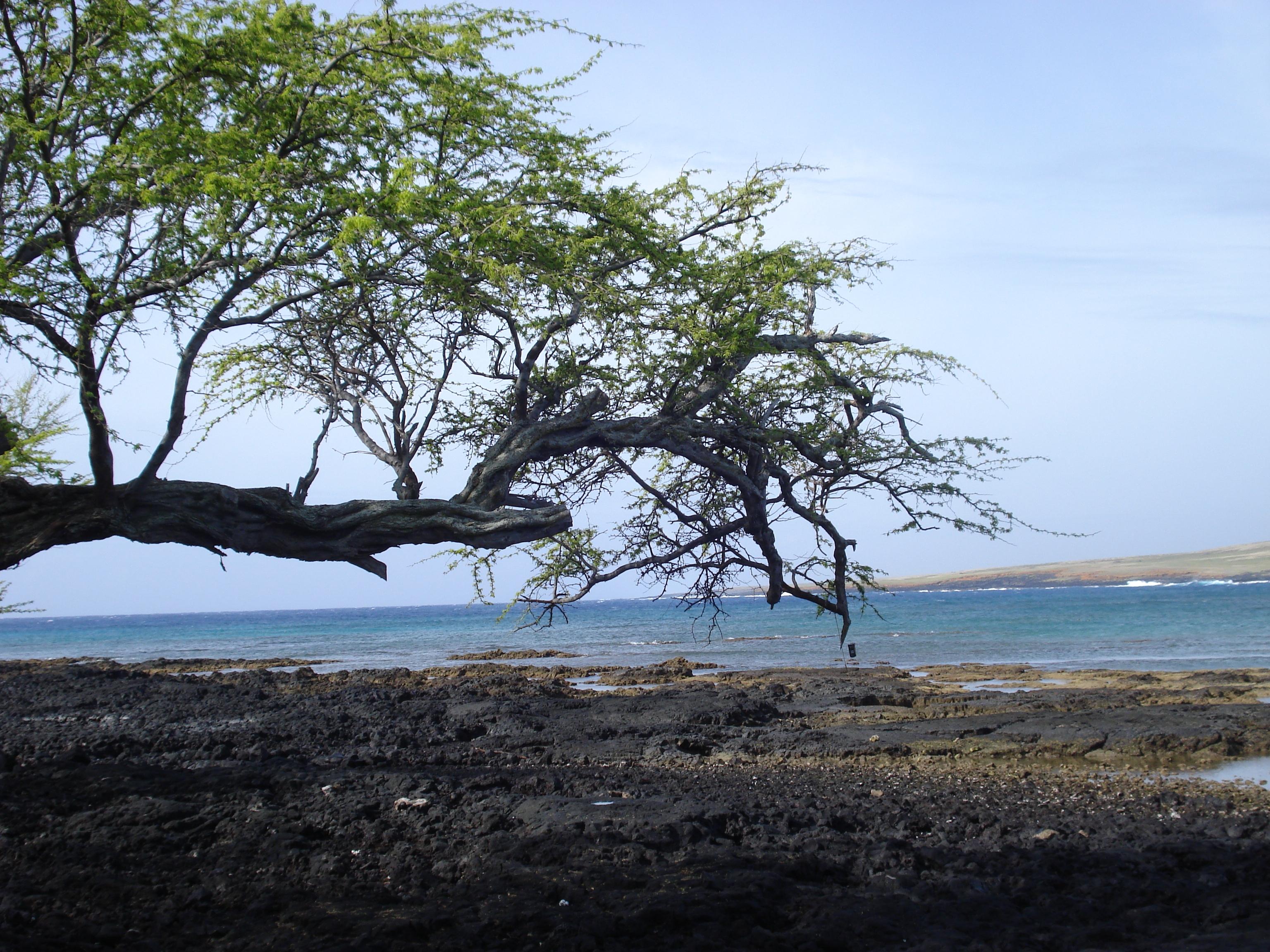 Sandee - Kaalualu Beach