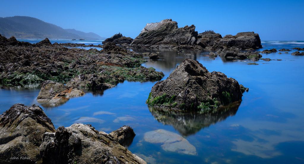 Sandee - Abalone Point