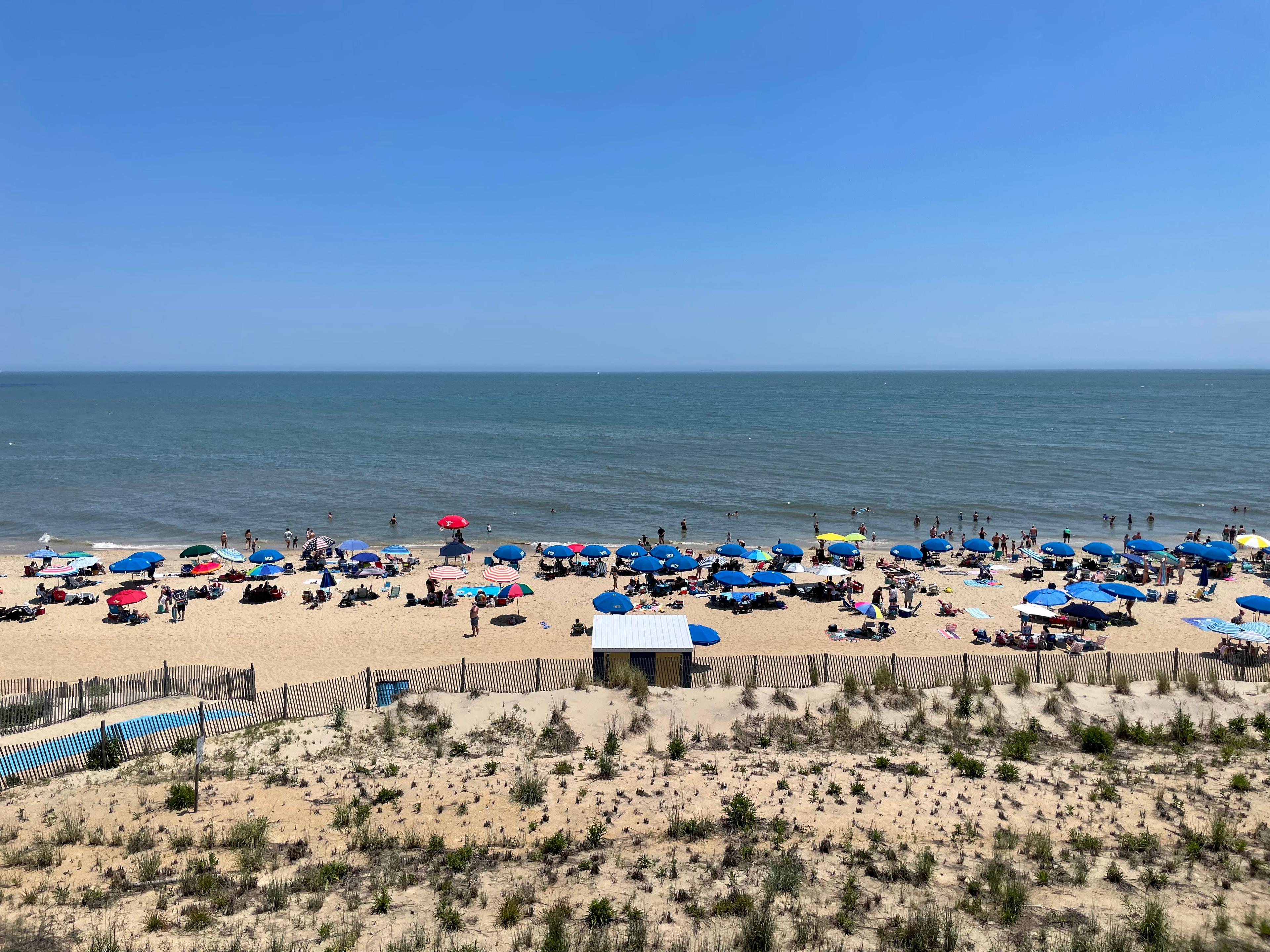 Sandee Rehoboth Beach