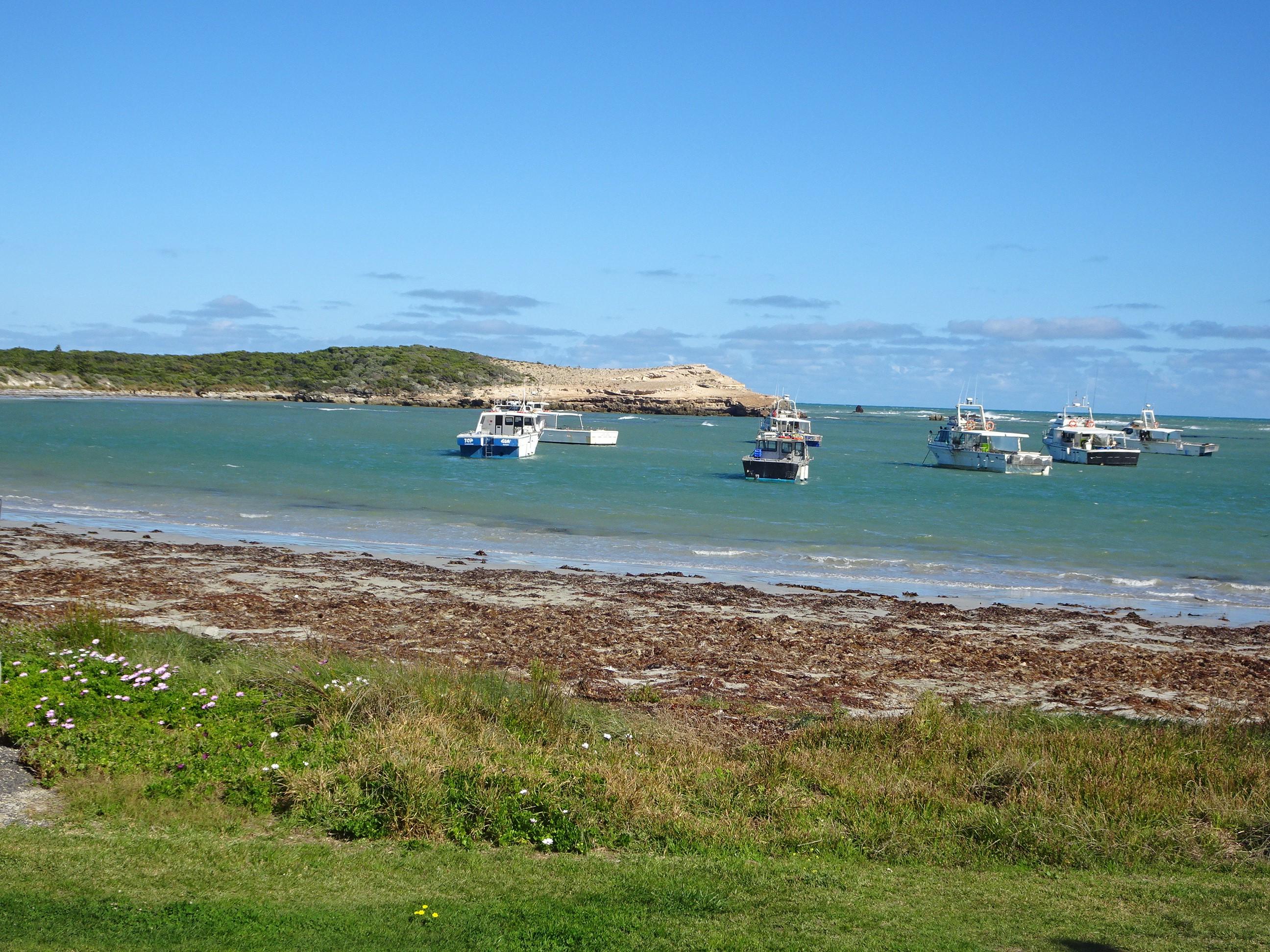 Sandee - Canunda Beach