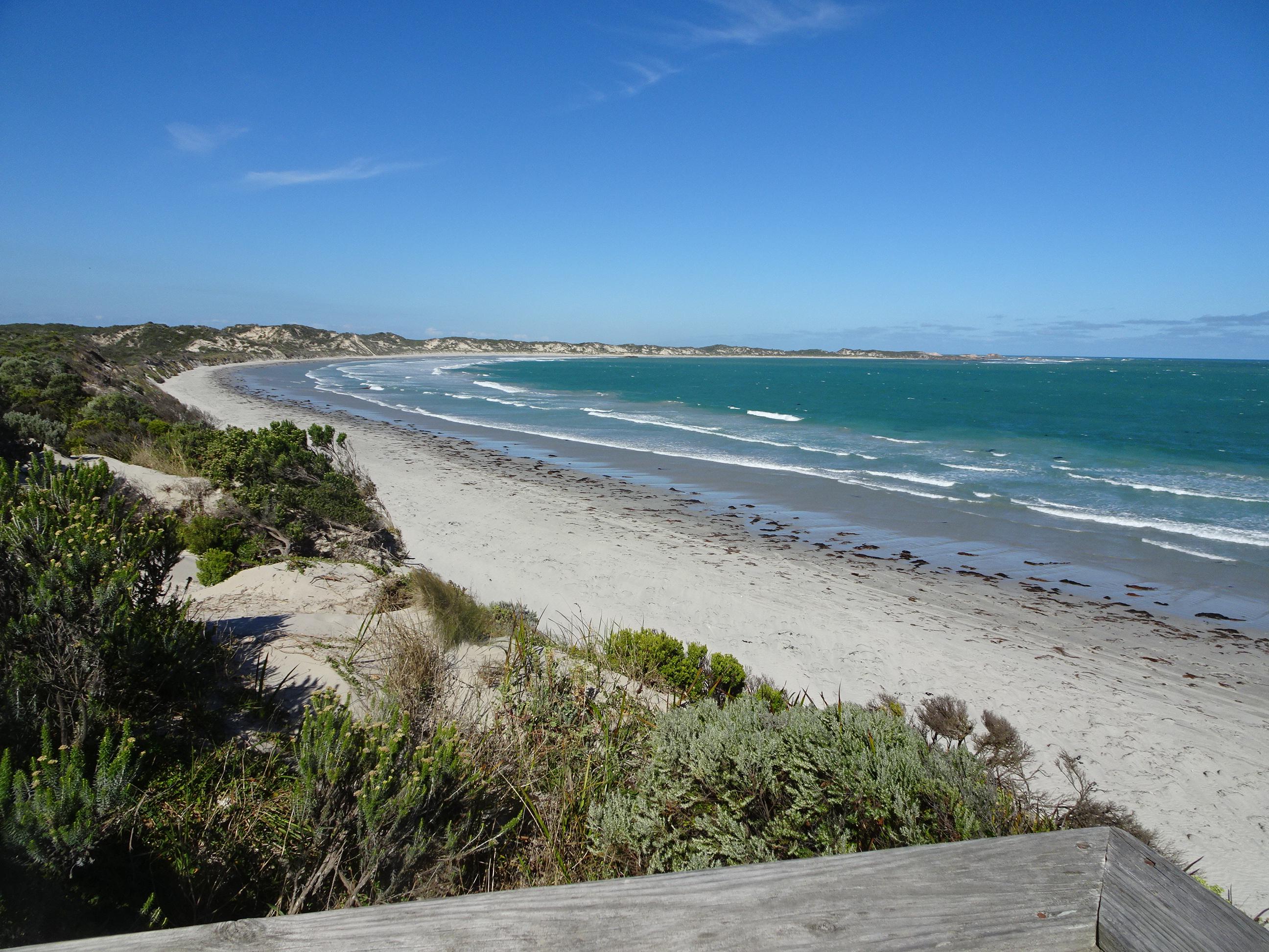 Sandee - Canunda Beach