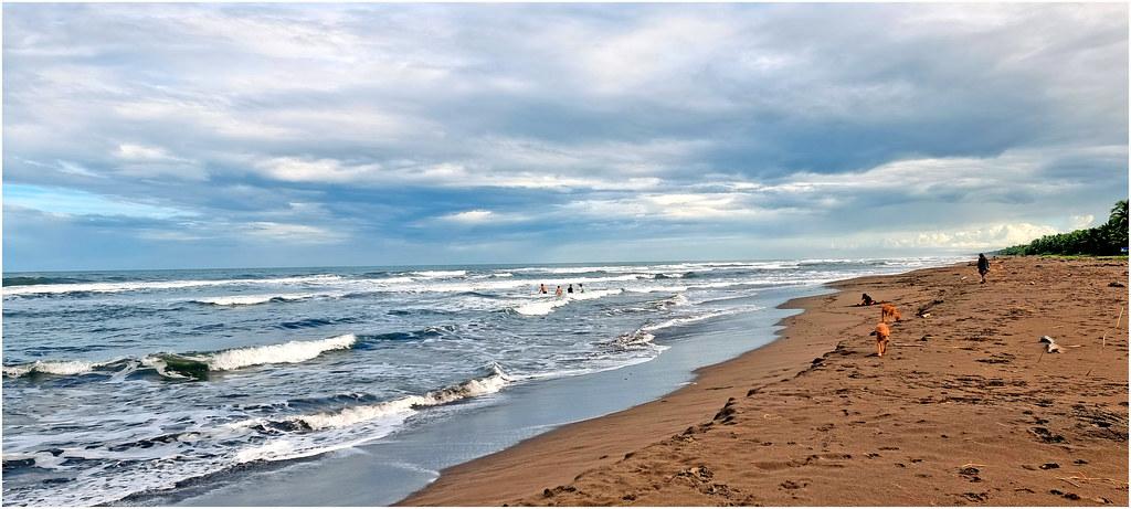 Sandee Plage Des Tortues Photo