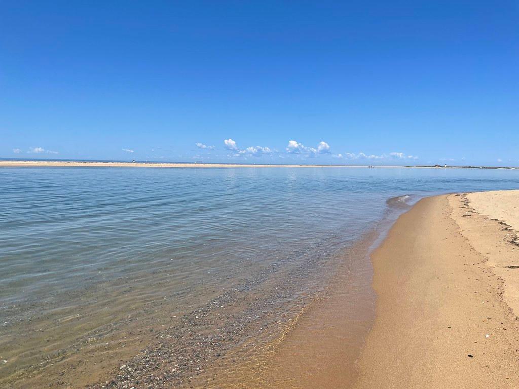 Sandee Herring Cove Beach Photo