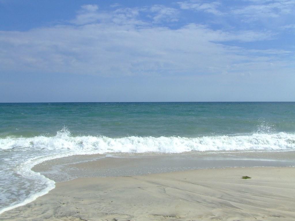 Sandee Cherry Grove Beach