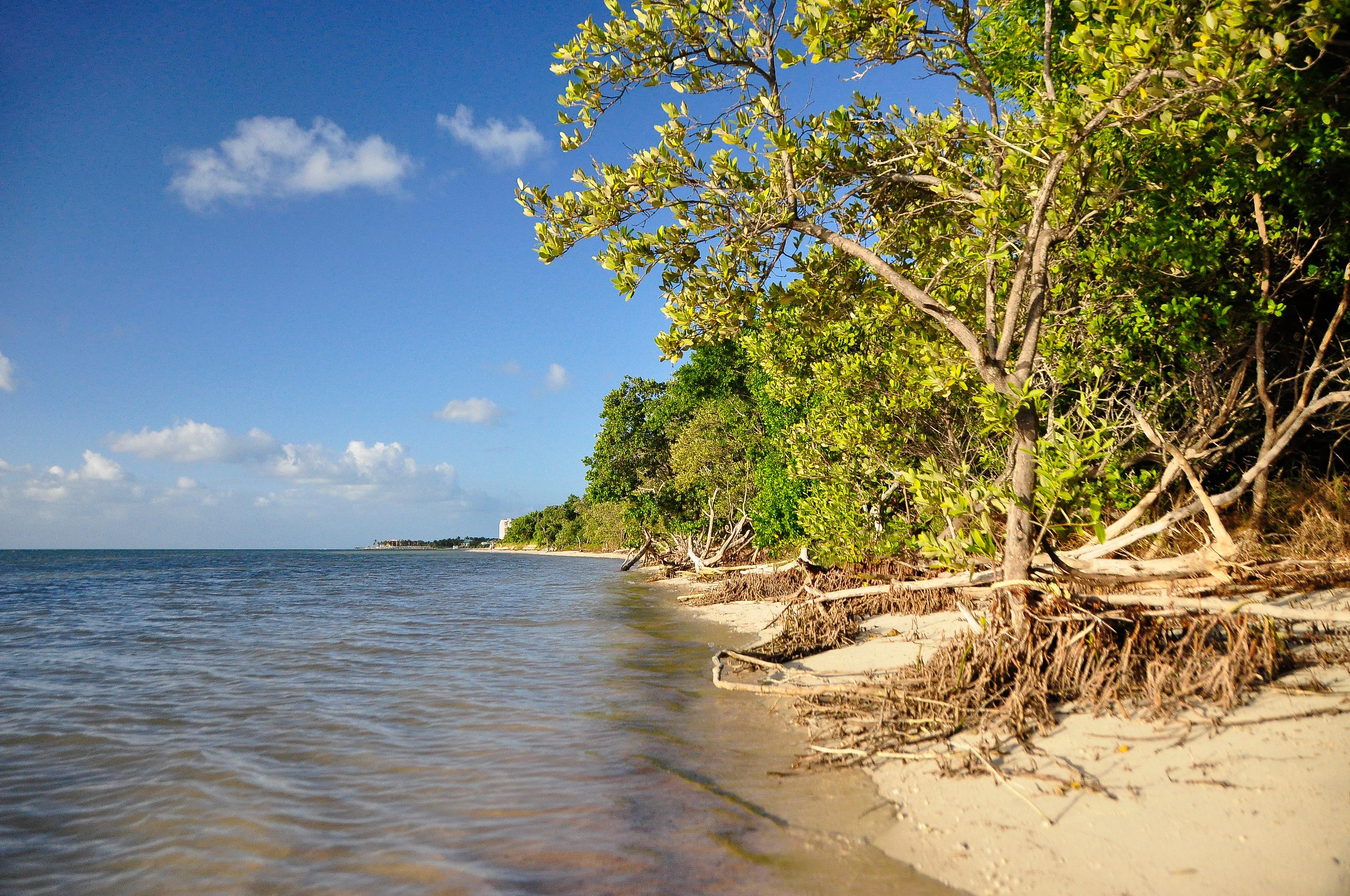 Sandee Coco Plum Beach