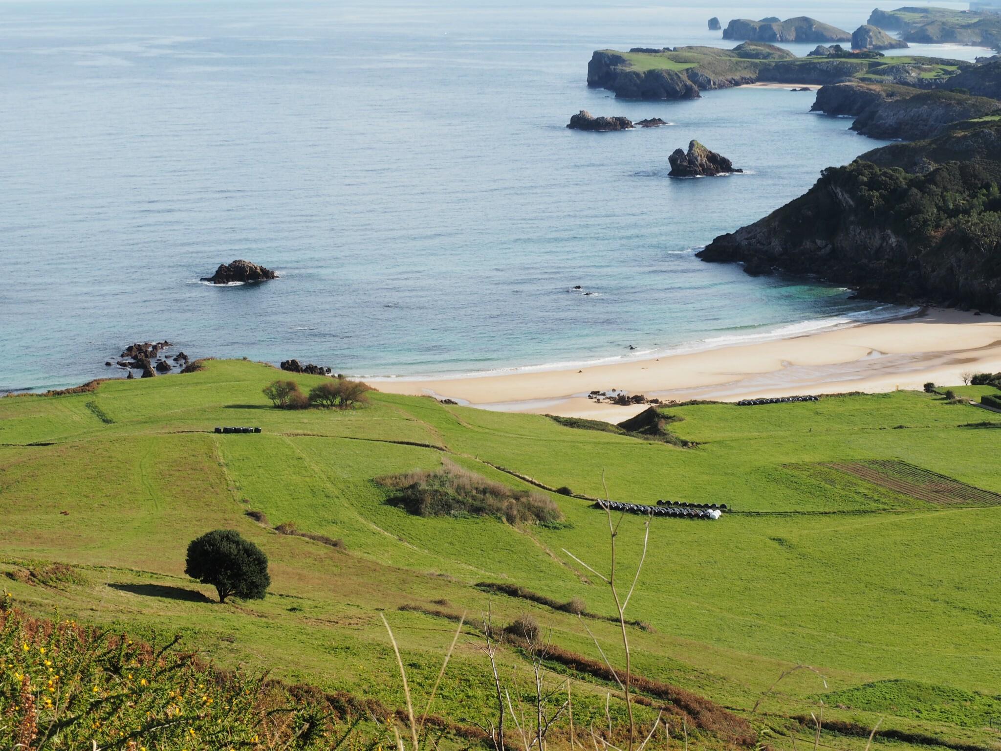 Sandee - Playa de Toranda