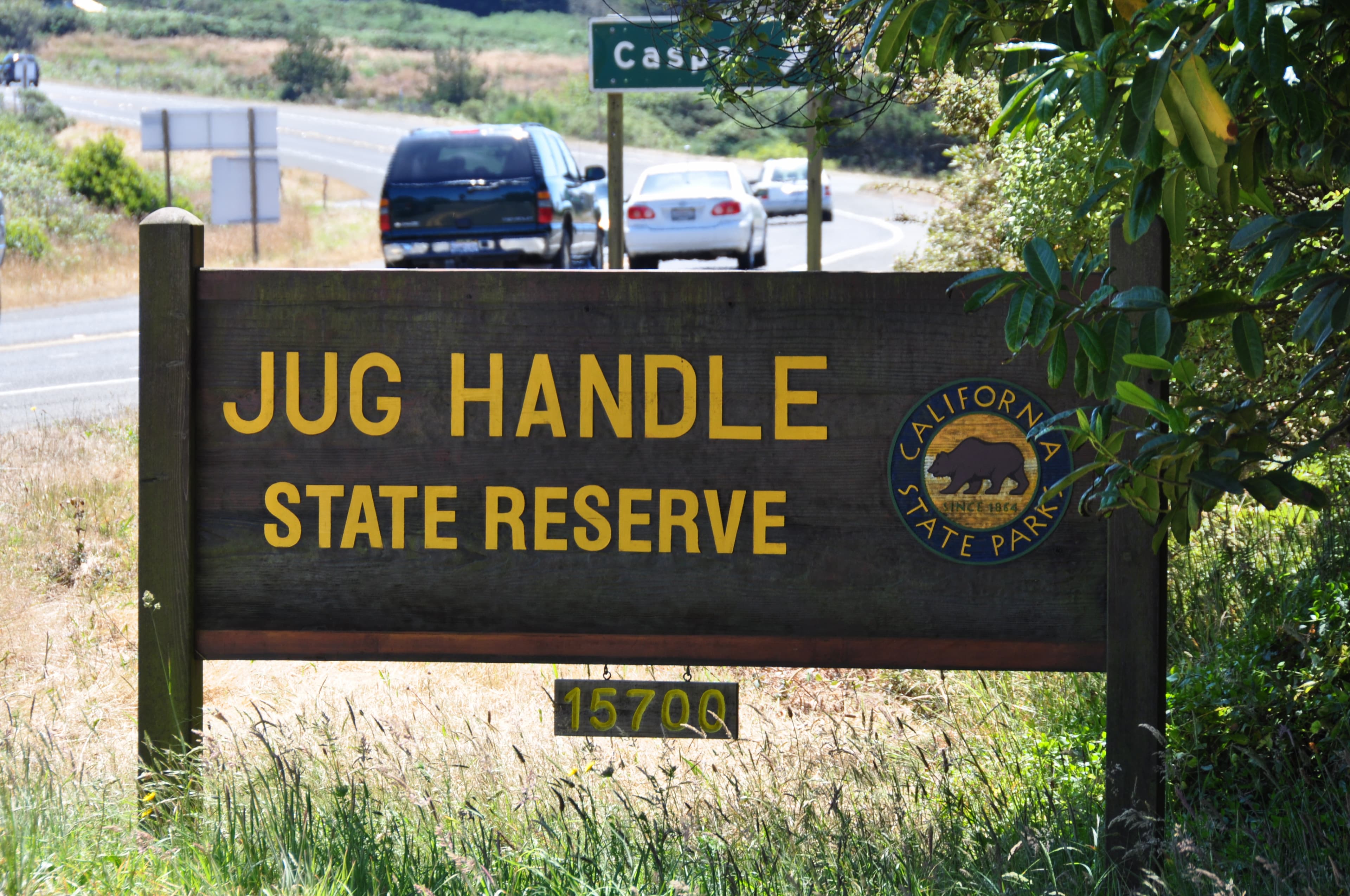 Sandee - Jug Handle State Reserve