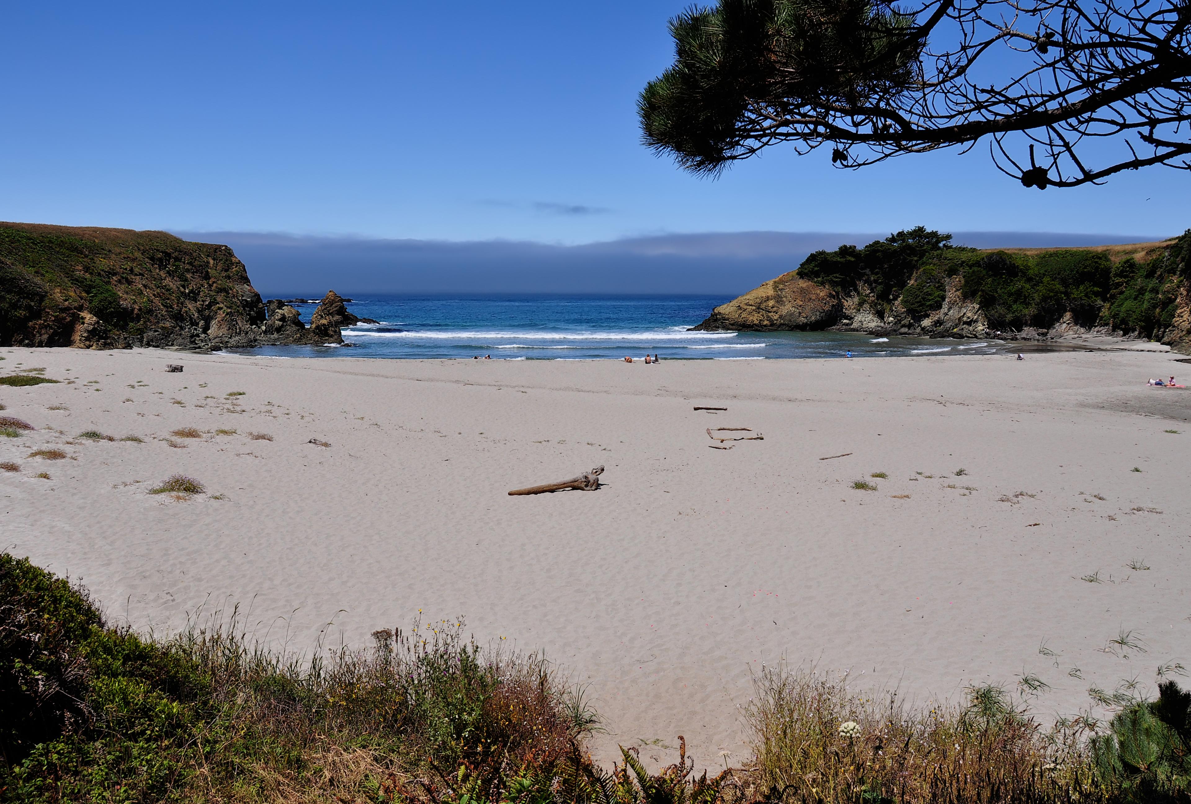 Sandee - Jug Handle State Reserve