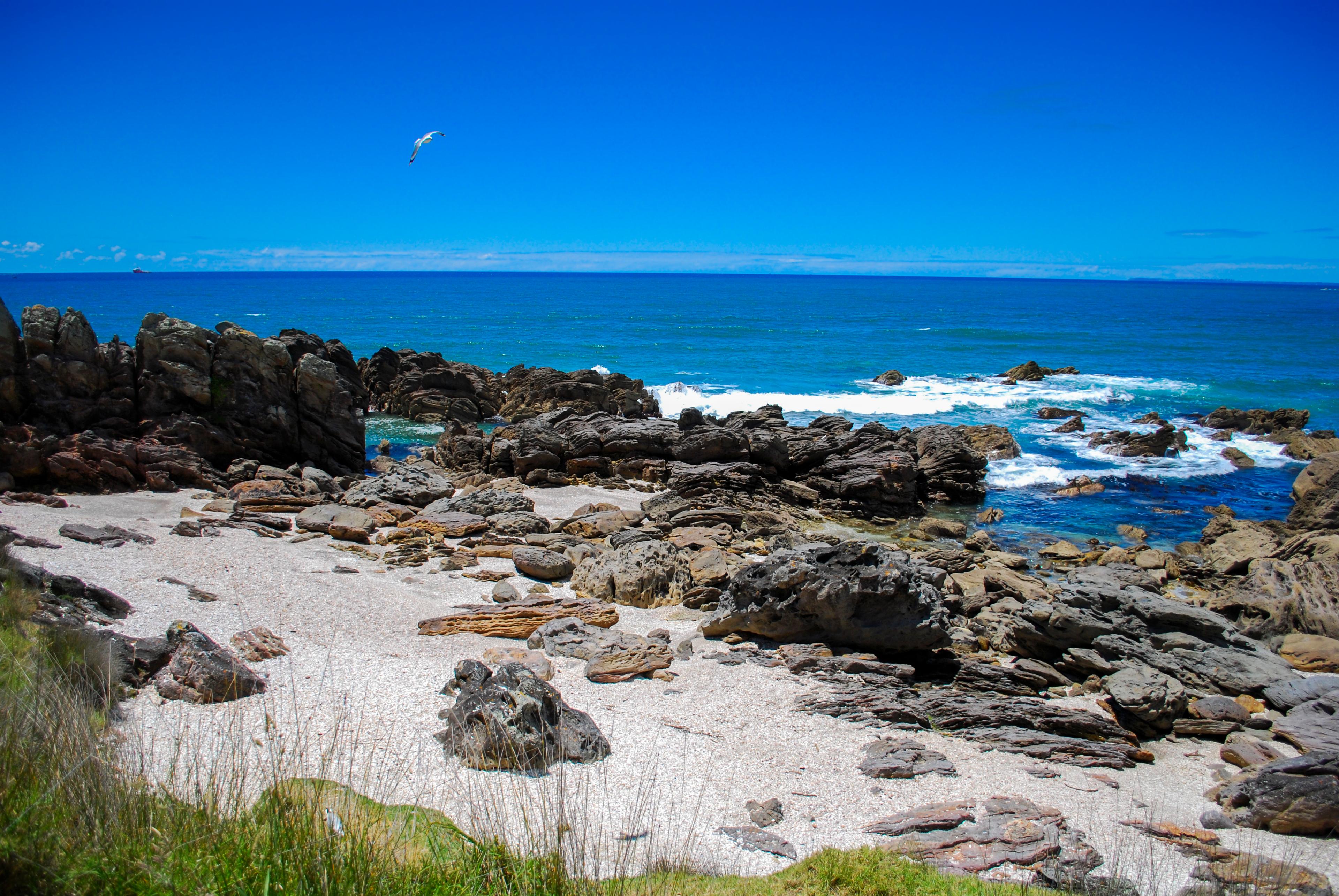 Sandee - Maunganui Beach