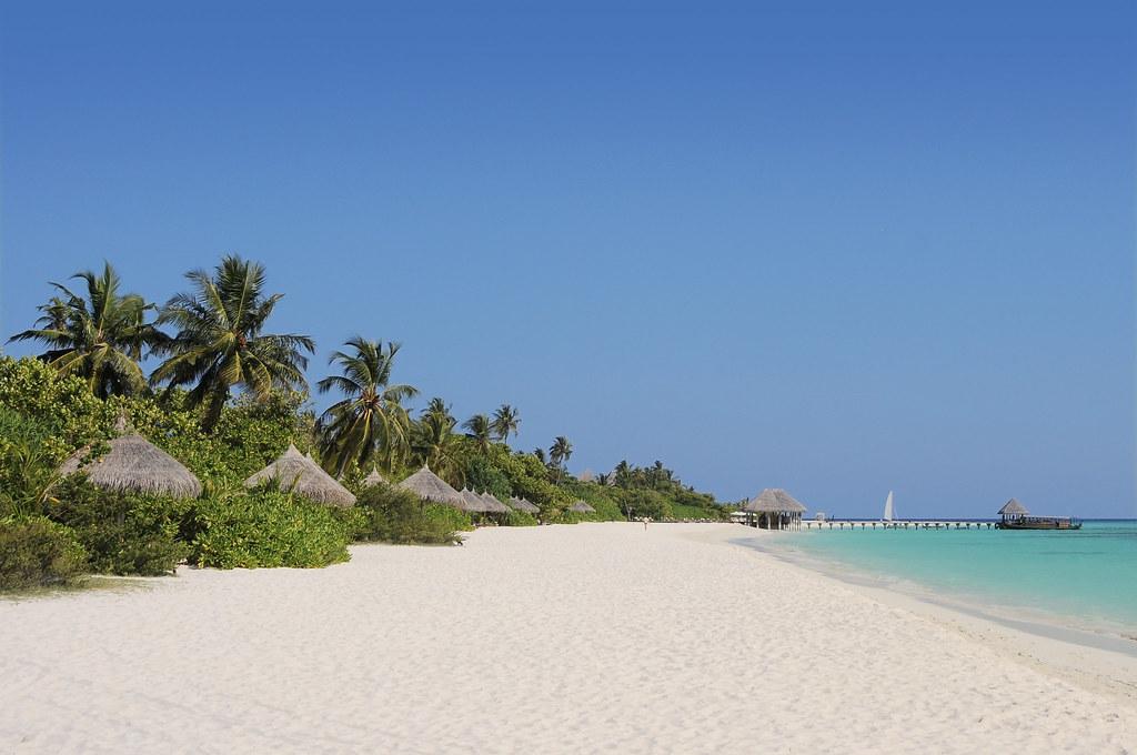 Sandee Coco Palm Dhuni Kolhu