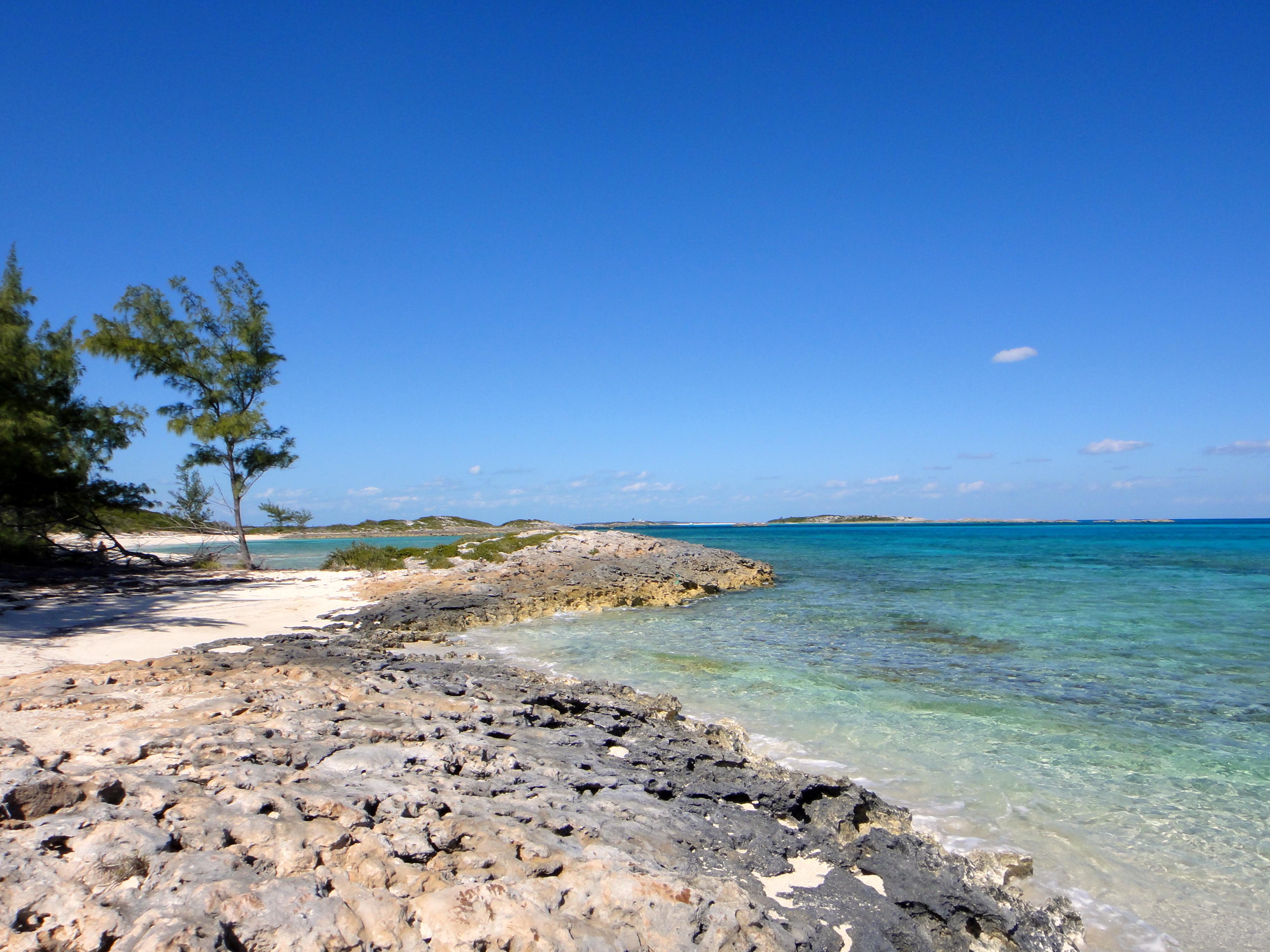 Sandee Blackbeards Bay Beach Photo