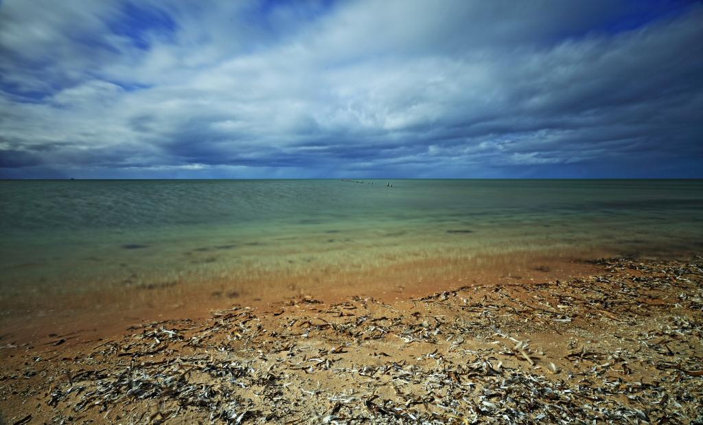 Sandee - HomePage / Murninnie Beach
