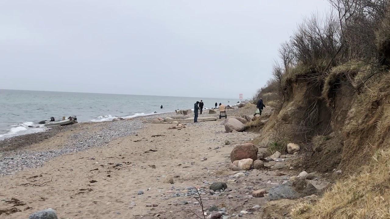 Sandee Rostock Hundestrand Photo