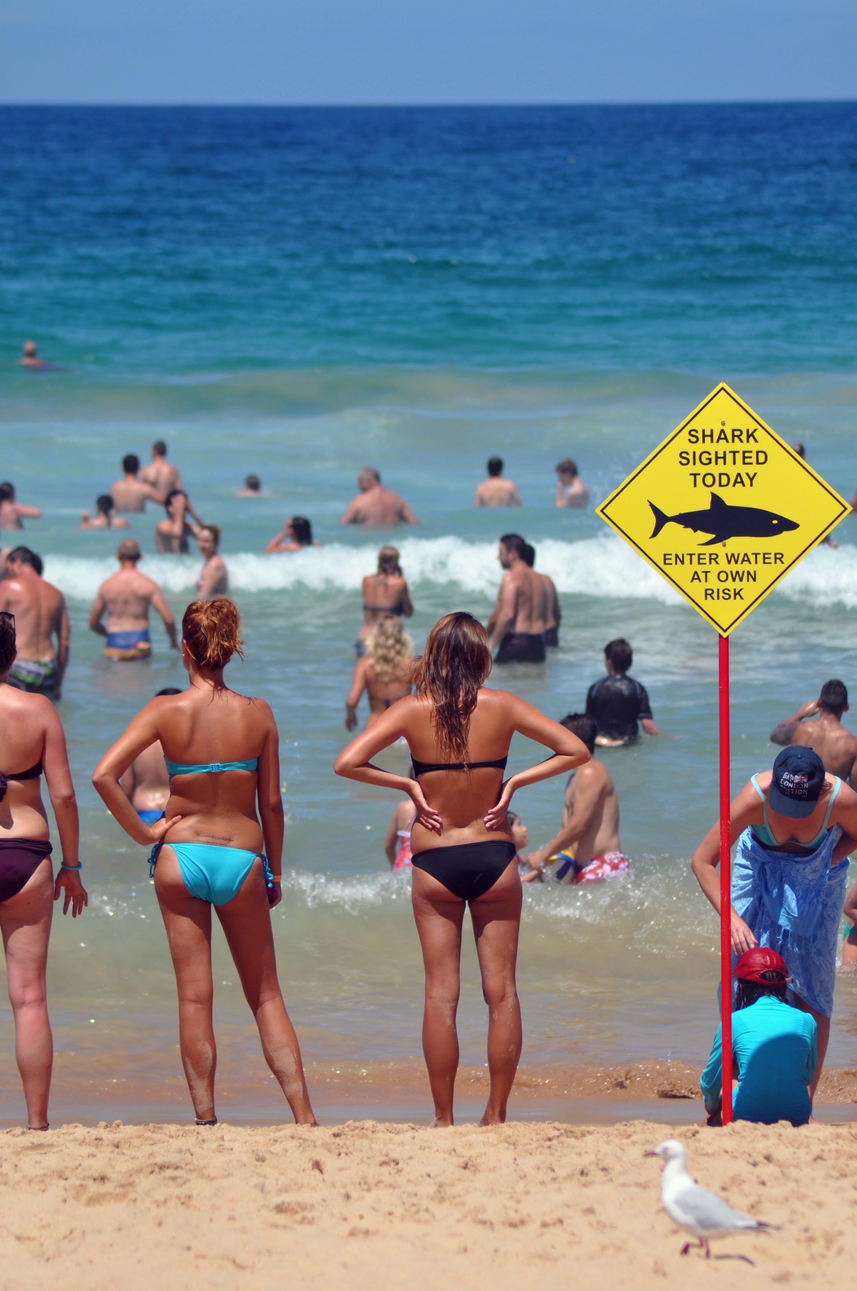 Sandee - North Steyne Beach