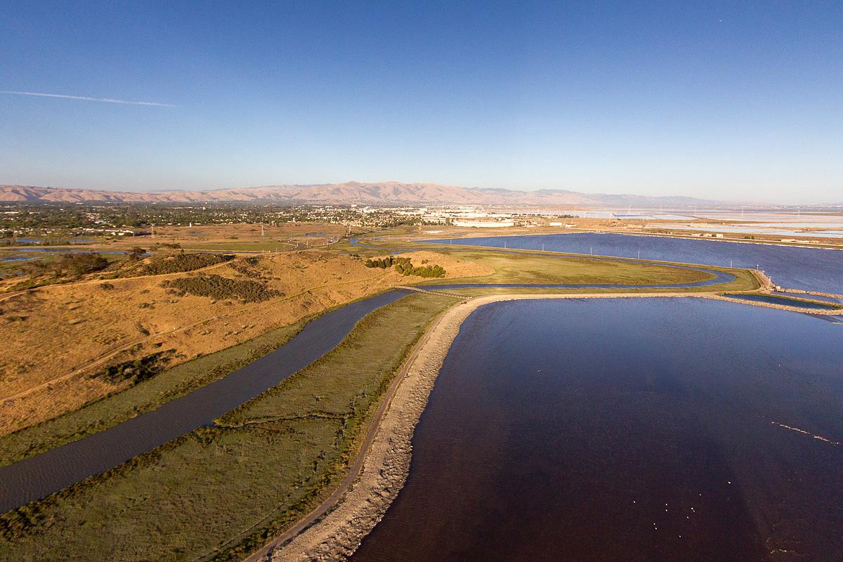 Sandee Sand Hummocks South Photo