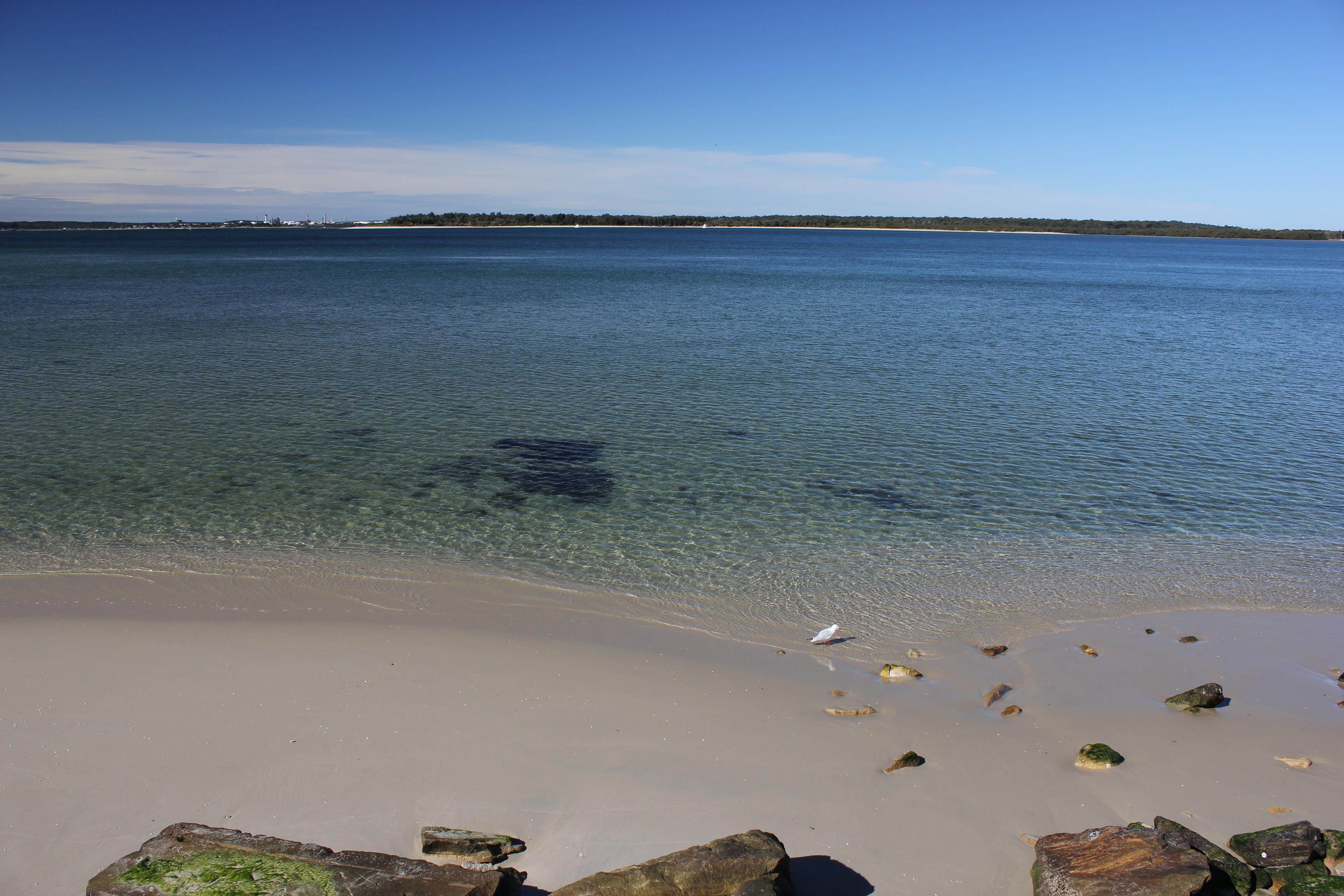 Sandee - Dolls Point Beach