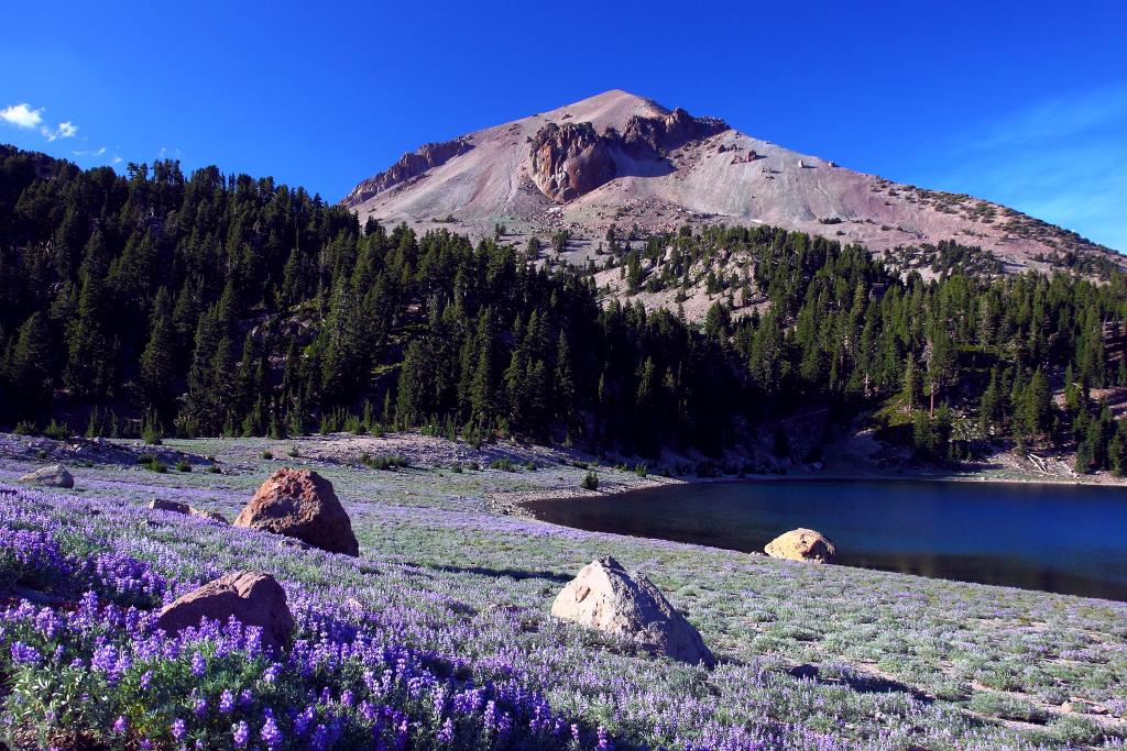 Sandee - Lassen Volcanic National Park