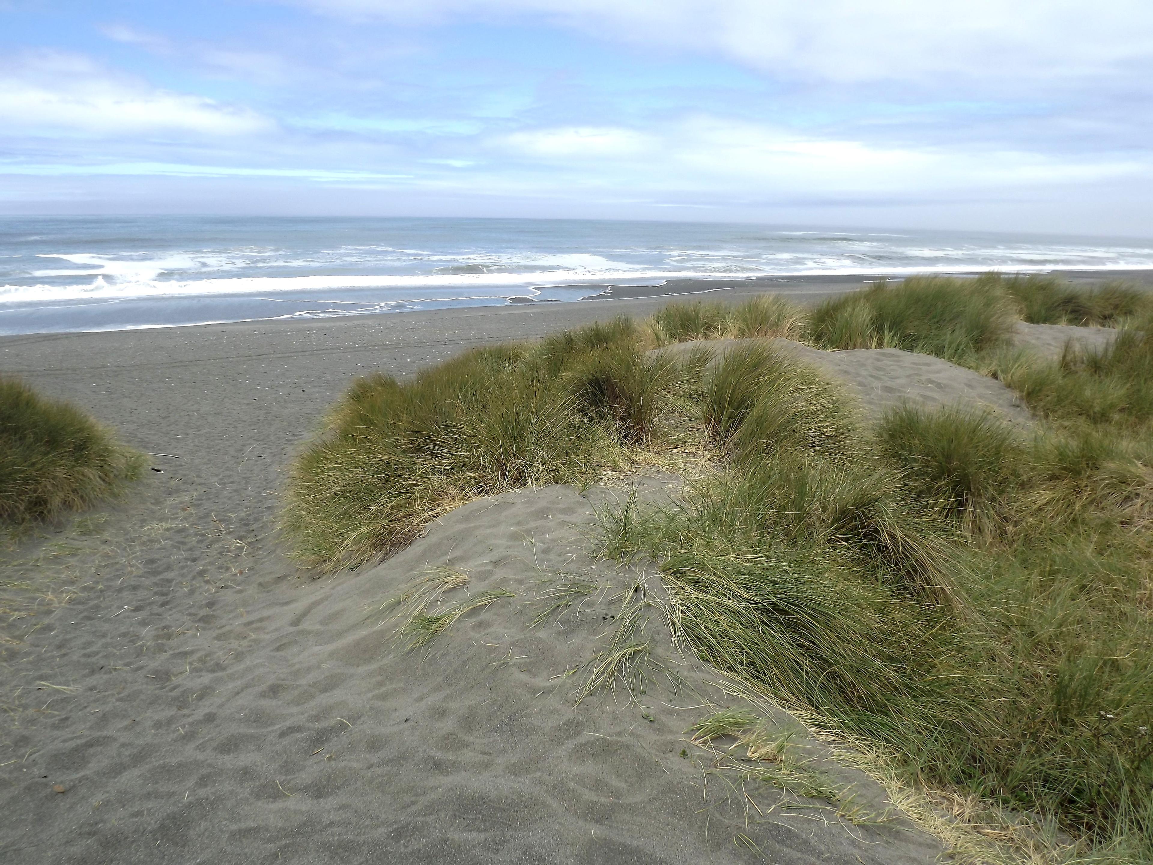 Sandee Tolowa Dunes State Park Photo