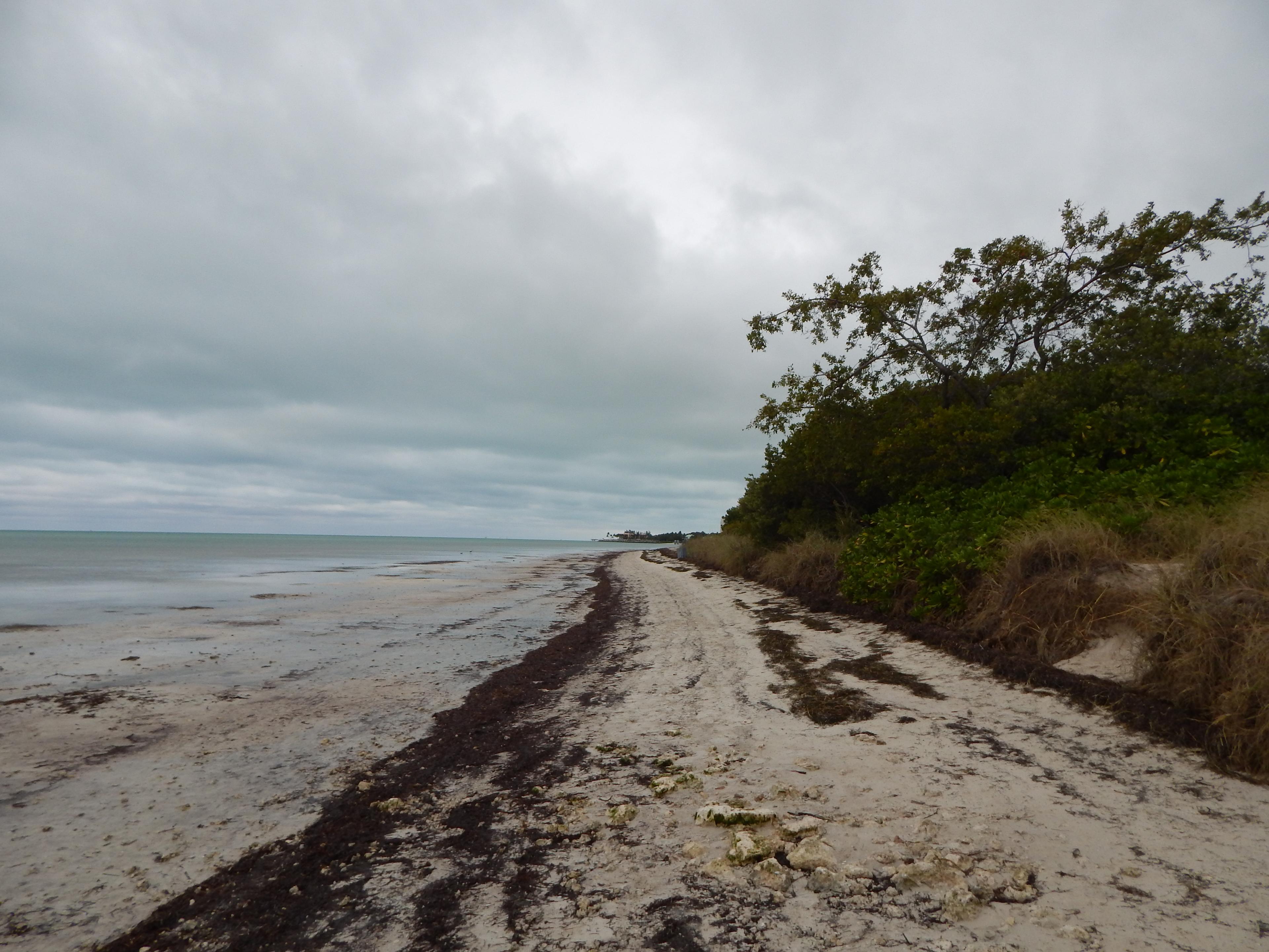 Sandee - Coco Plum Beach