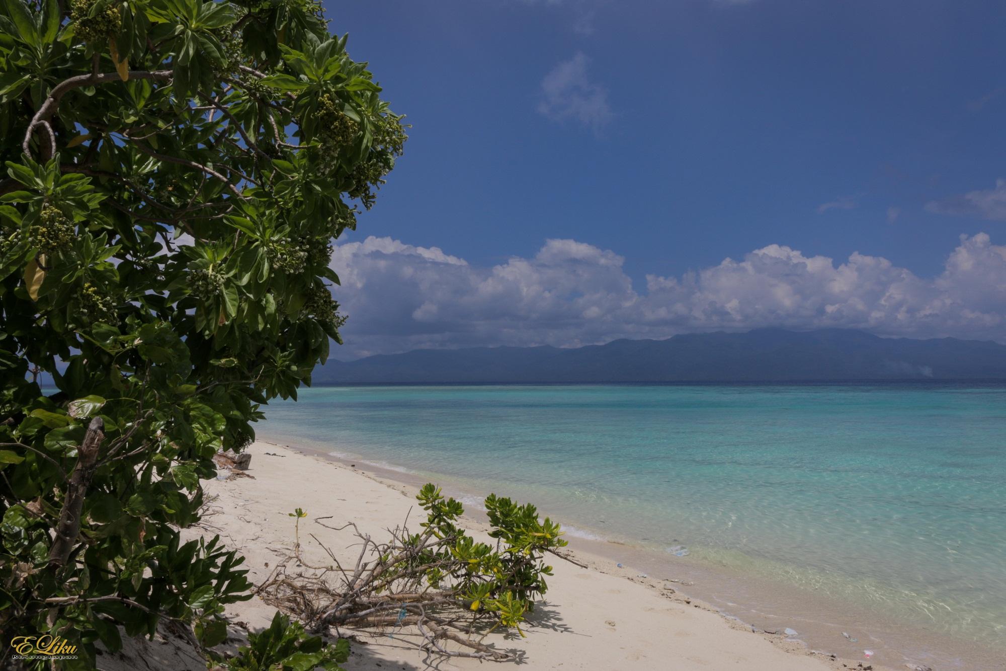 Sandee Pombo Island