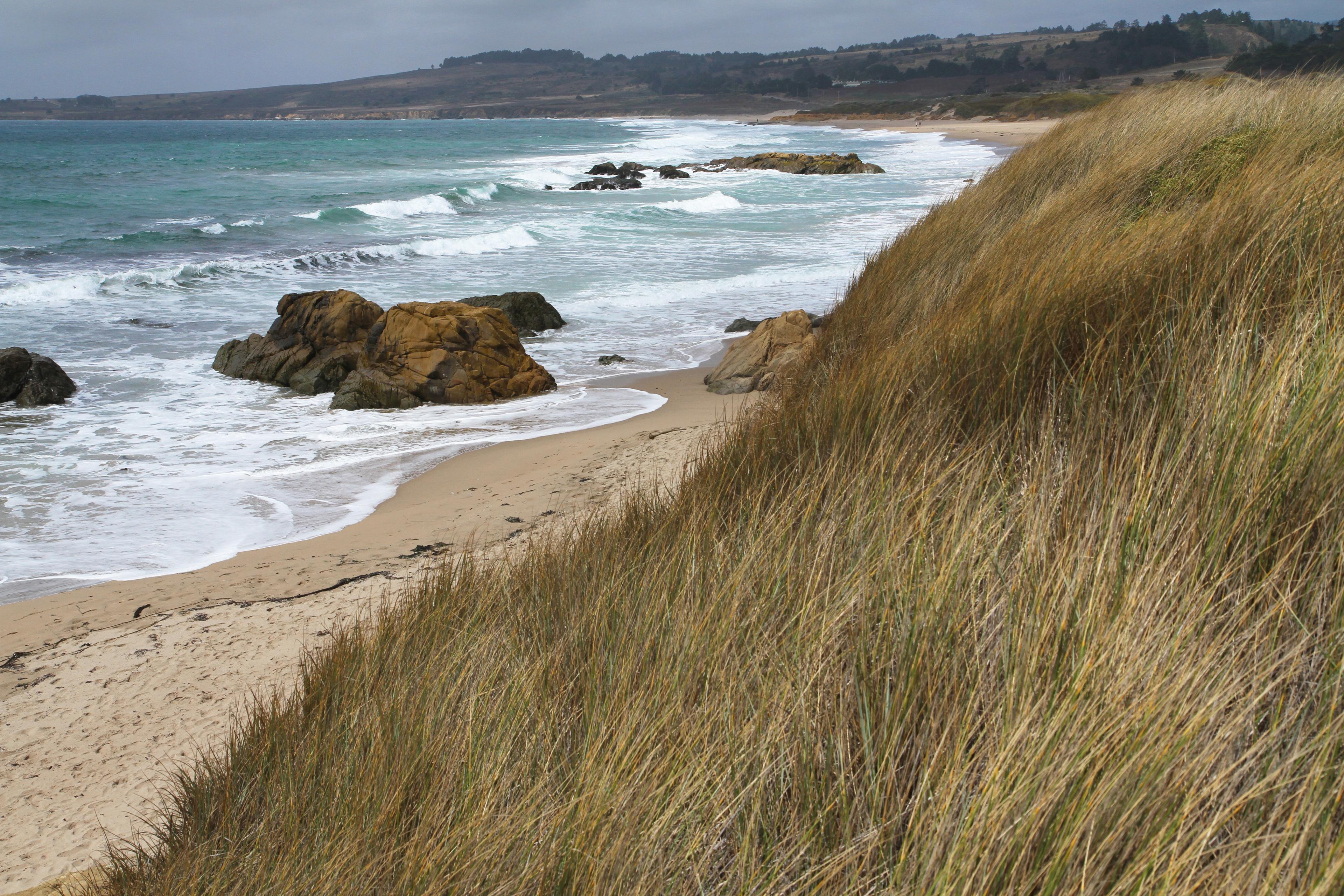 Sandee Franklin Point Beach