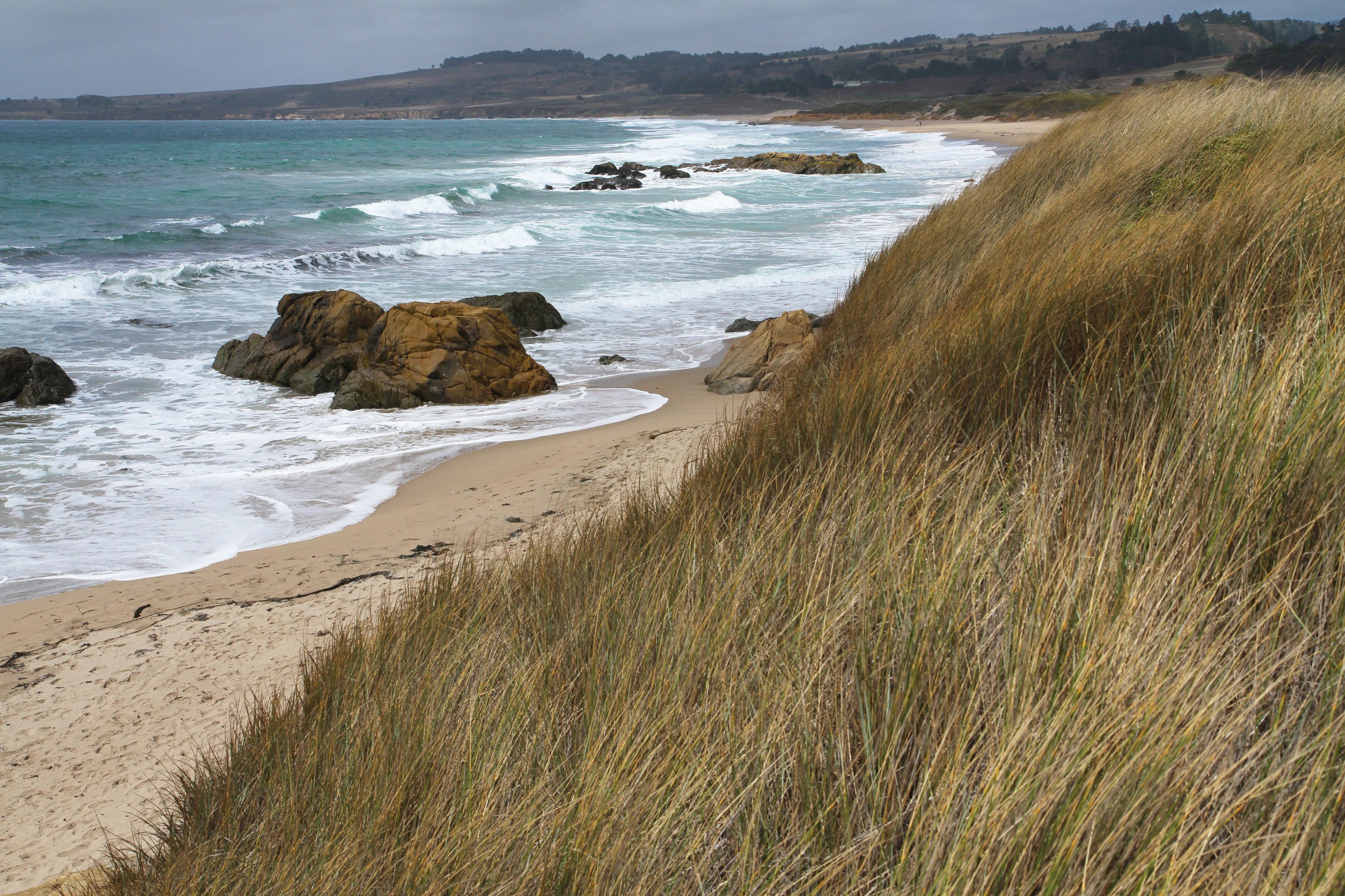 Sandee Franklin Point Beach Photo