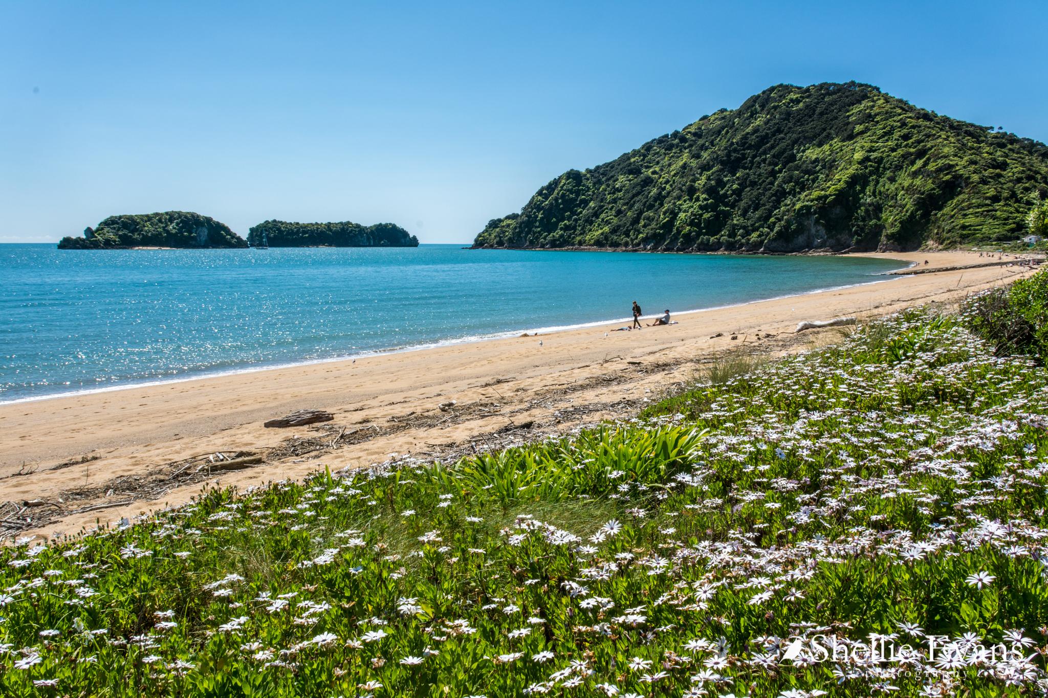 Sandee Wainui Bay