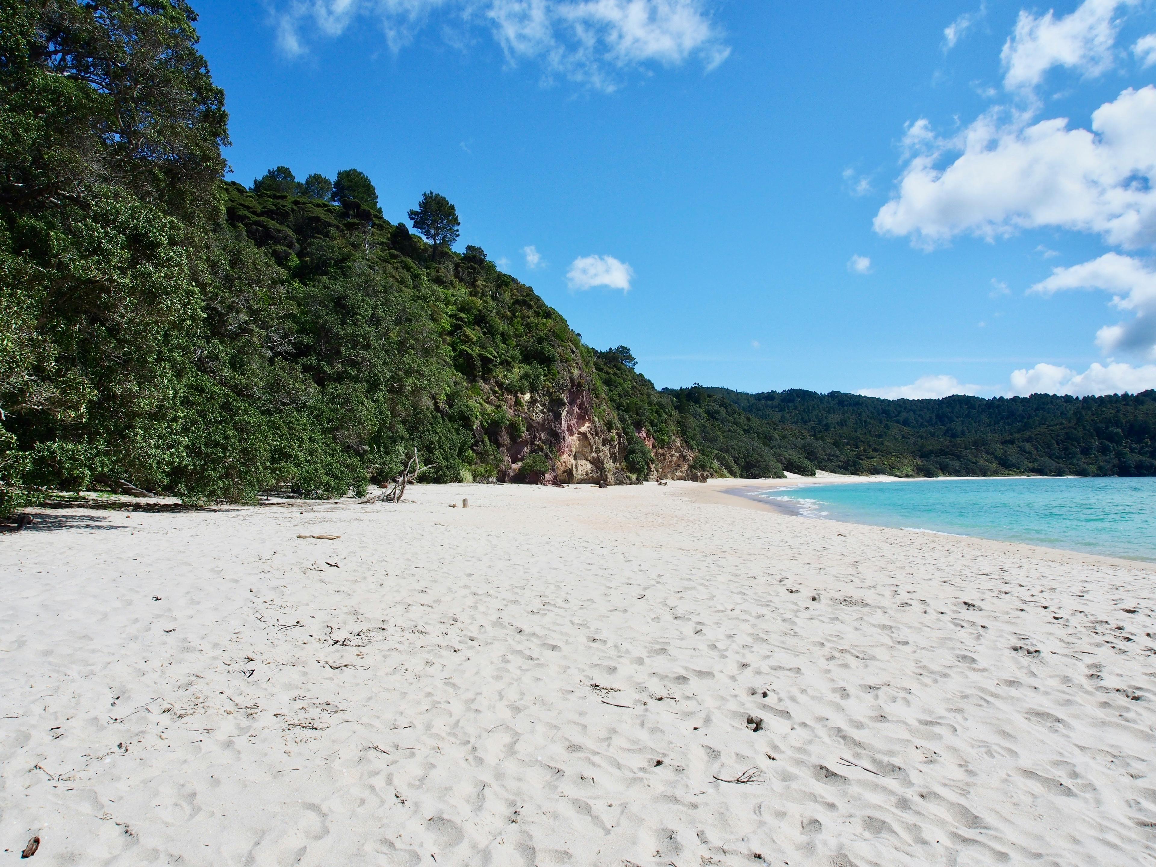 Family Beach Day Essentials: Packing for Fun in the Sun