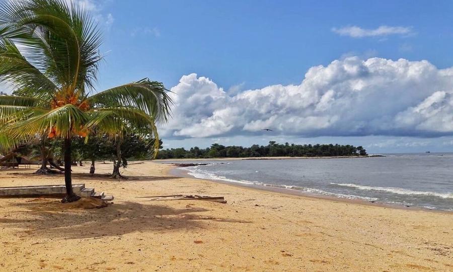 Sandee Nudism Laws in Guinea: A Comprehensive Overview