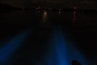Sandee Bioluminescent Mosquito Bay Photo