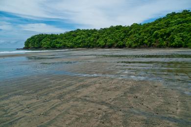 Sandee - Playa Venao