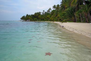 Sandee - Starfish Beach