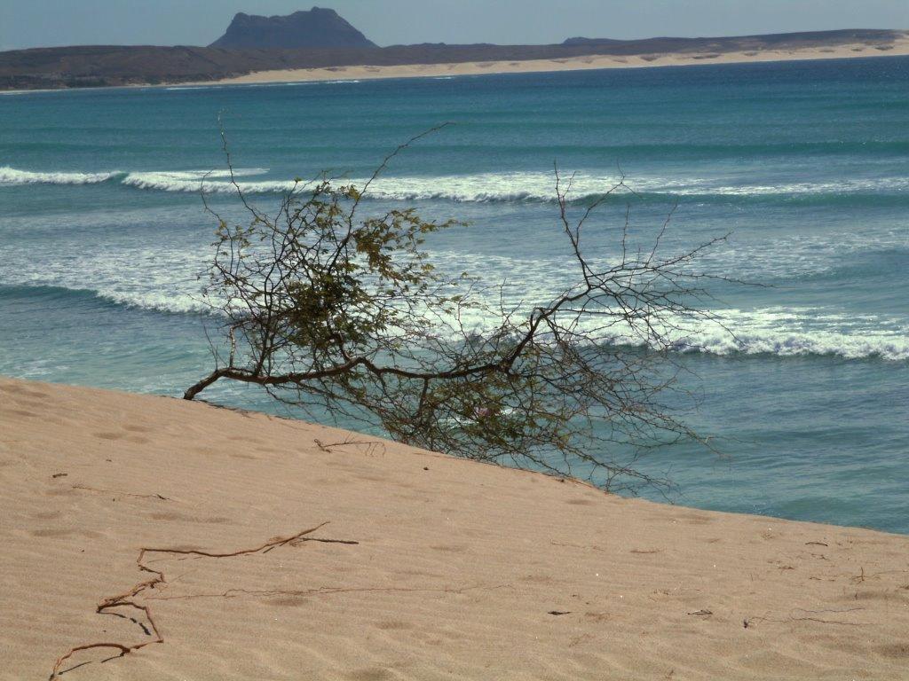 Sandee - Praia Carlota