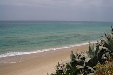 Sandee Tirat Carmel Beach Photo