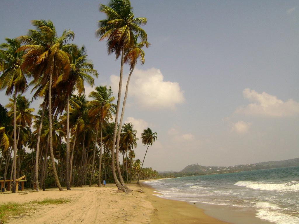 Sandee - Guayanes Beach