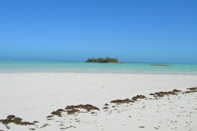 Sandee - Treasure Cay Beach