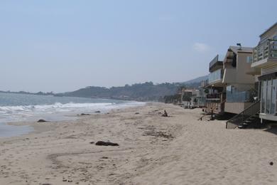 Sandee - Las Flores Beach