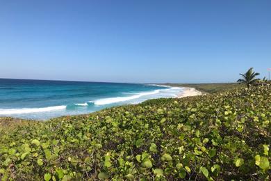 Surfers Beach | Gregory Town, North Eleuthera, Bahamas - 208699
