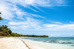 Sandee - Toamasino Beach