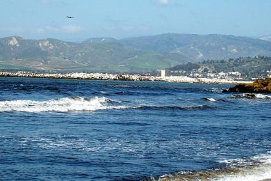 Sandee - Ventura Pier Beach