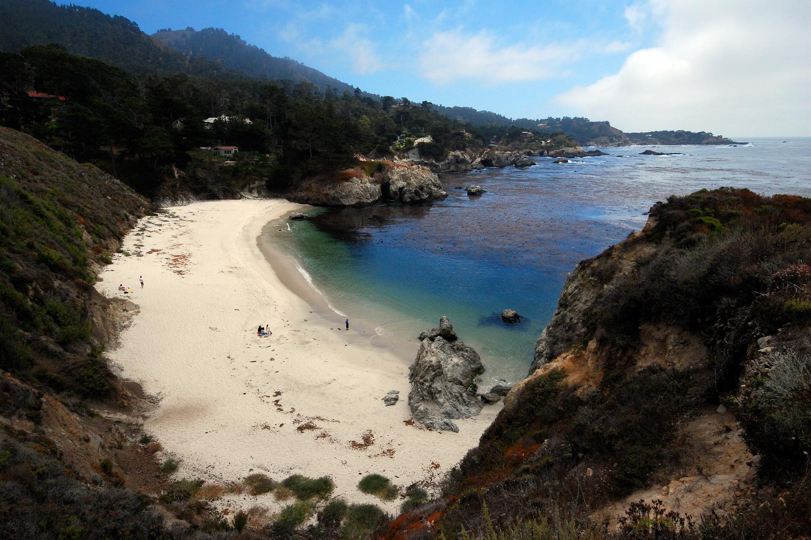Sandee - Point Lobos State Natural Reserve - Gibson Beach