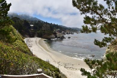 Sandee Point Lobos State Natural Reserve - Gibson Beach Photo