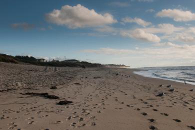 Sandee - Half Moon Bay State Beach - Dunes Beach