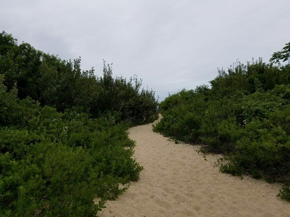 Sandee - Higbee Beach Wildlife Management Area