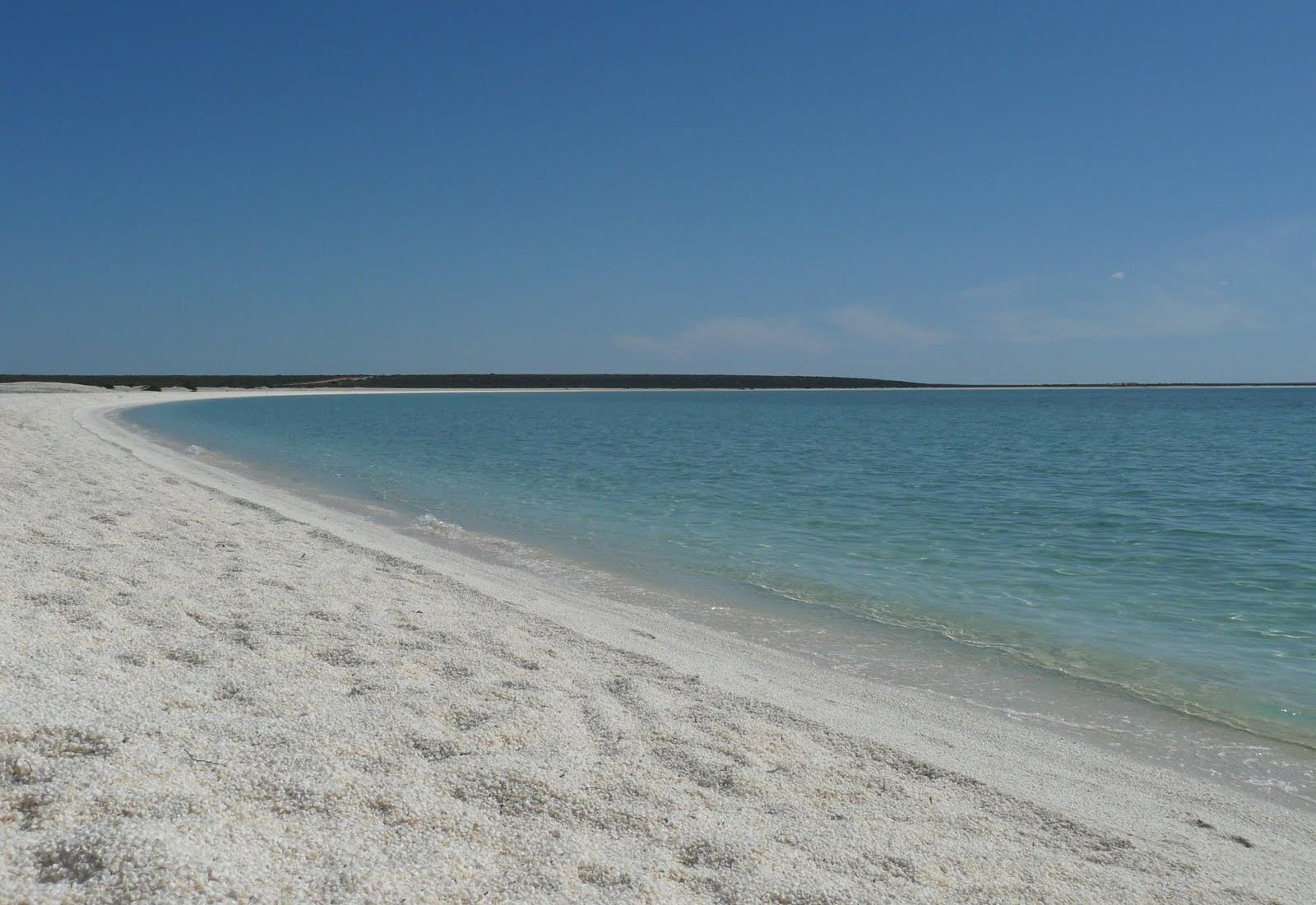 Sandee - Shell Beach