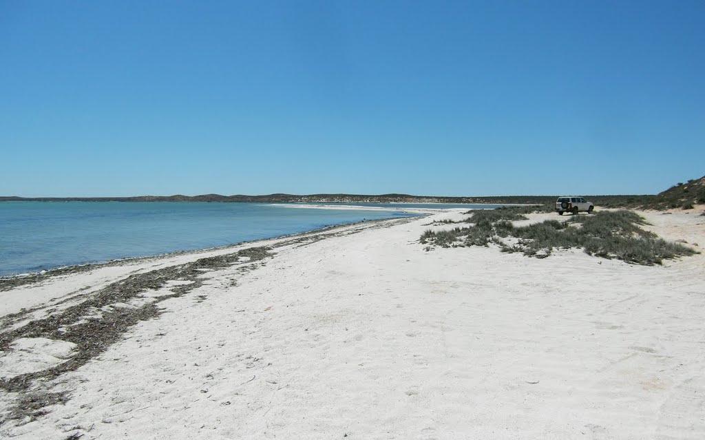 Sandee - Whalebone Bay