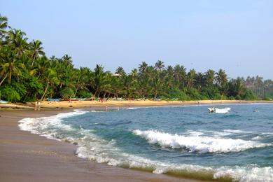 Sandee - Mirissa Beach